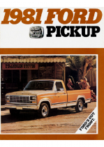 1981 Ford Pickup