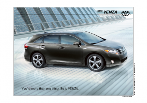 2010 Toyota Venza