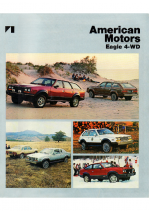 1981 AMC Eagle 4-WD