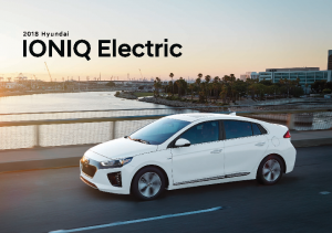 2018 Hyundai Ioniq Electric