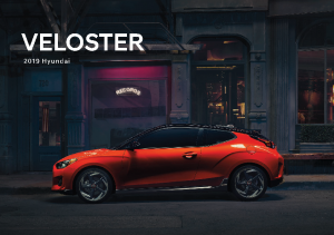 2019 Hyundai Veloster