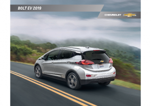 2019 Chevrolet Bolt EV