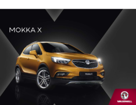 2019 Vauxhall Mokka X