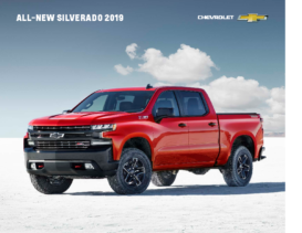 2019 Chevrolet Silverado 1500 V2