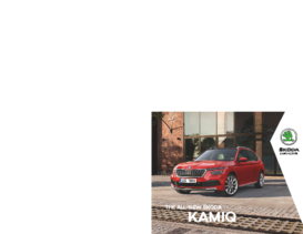 2019 Skoda Kamiq