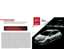 2020 Nissan Leaf