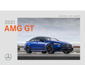 2021 Mercedes-Benz AMG GT Family
