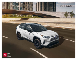 2019 Toyota RAV4 V2