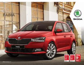 2021 Skoda Fabia V1