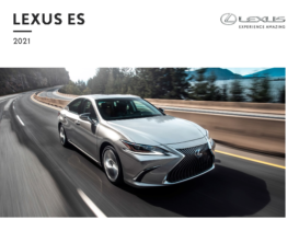 2021 Lexus ES CN