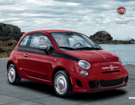 2019 Fiat 500 Accessories