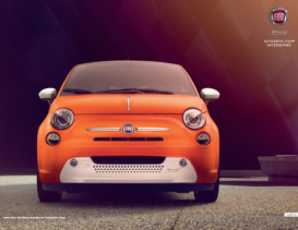 2019 Fiat 500E Accessories