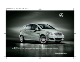 2010 Mercedes-Benz B-Class F-Cell