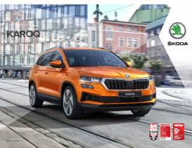 2022 Skoda Karoq