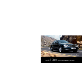 2009 Mercedes-Benz E-Class CN