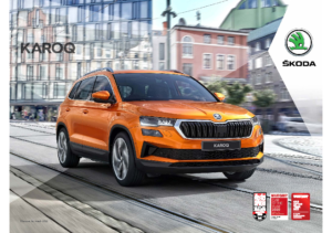 2022 Skoda Karoq UK