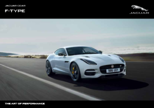 2107 Jaguar F-TYPE Accessories UK