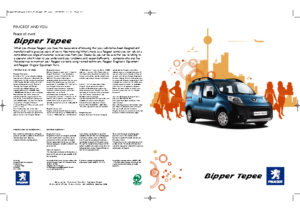 2009 Peugeot Bipper Tepee UK