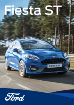 2021 Ford Fiesta ST UK