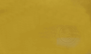 1963 Ford Thunderbird