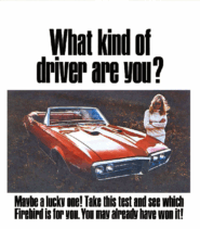 1967 Pontiac Firebird Insert