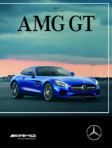 2017 Mercede Benz AMG GT